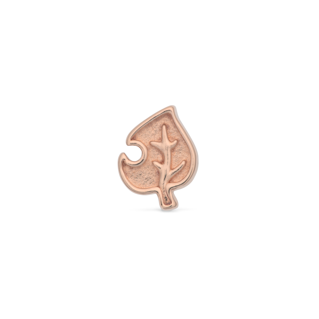 Leaf - Image 4